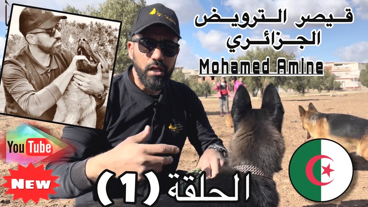 الجزائري 🇩🇿 محمد أمين شعيب قيصر الترويض 🐕 في أول ظهور على دنيا تي في  ا الحلقة الأولى.