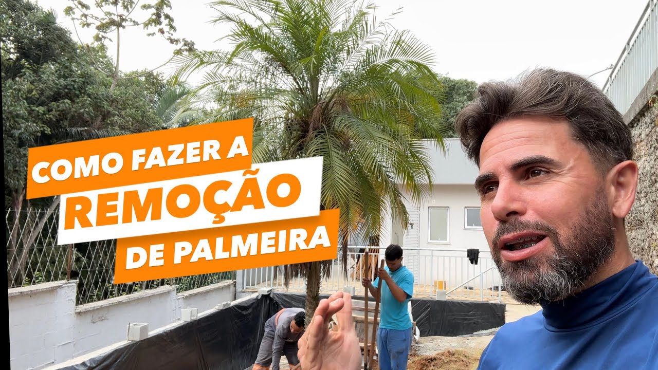 COMO FAZER A REMOÇÃO E PLANTIO DA PALMEIRA FÊNIX 