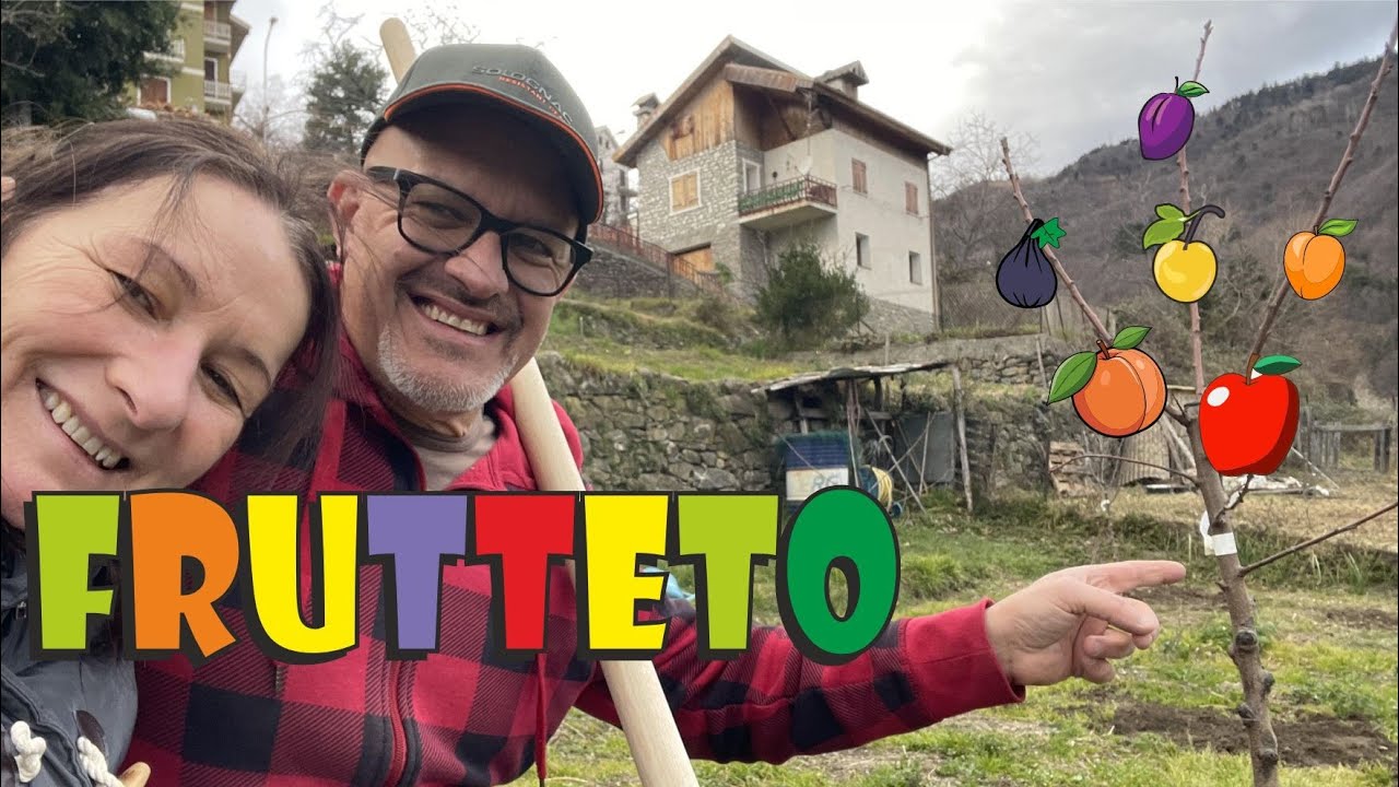 trapiantiamo alberi da frutto nuova esperienza