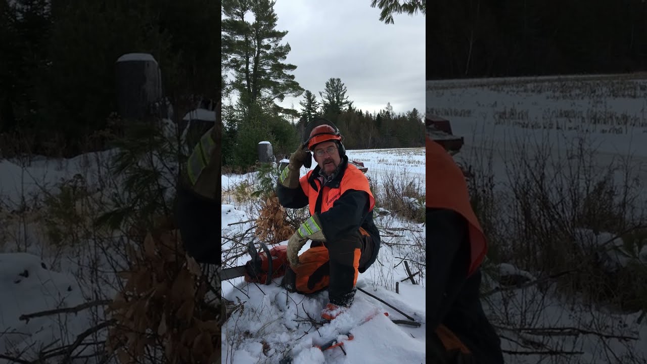 Directional felling - how do I put a tree where I want it to go?