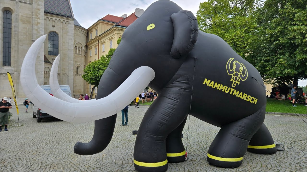 Mammutmarsch Wien 2025 55 Km