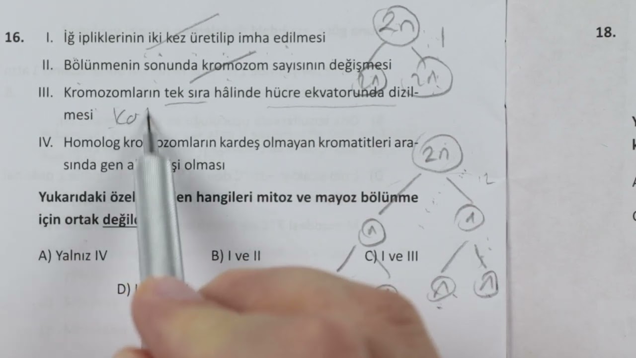 ÖZDEBİR Türkiye Geneli TYT Deneme-4 Biyoloji Çözümleri(Y224)