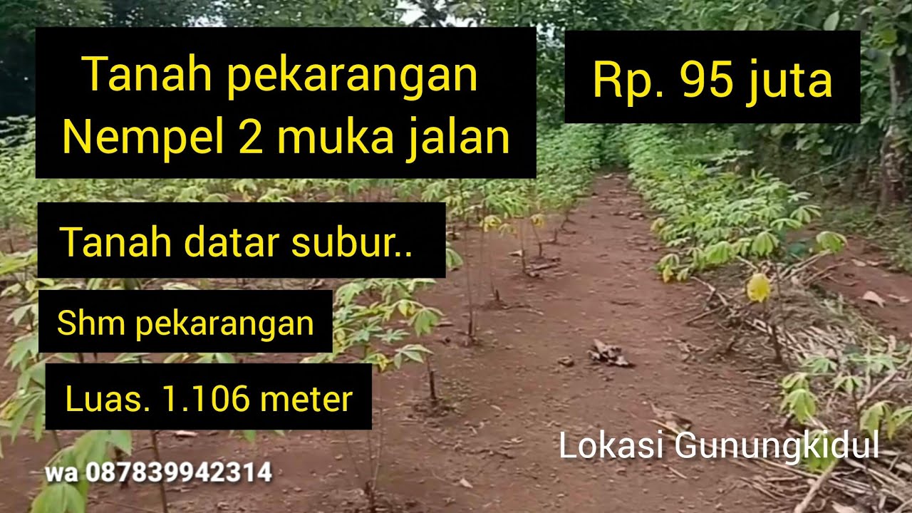 TANAH PEKARANGAN MUARAH DATAR SUBUR