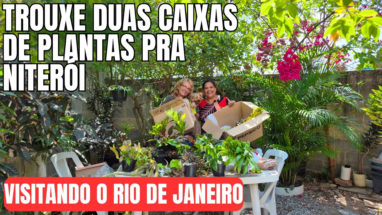 SURPRESA VERDE EM NITERÓI: ZIZI VISITA INSCRITA E LEVAR DUAS CAIXAS CHEIAS DE PLANTAS 