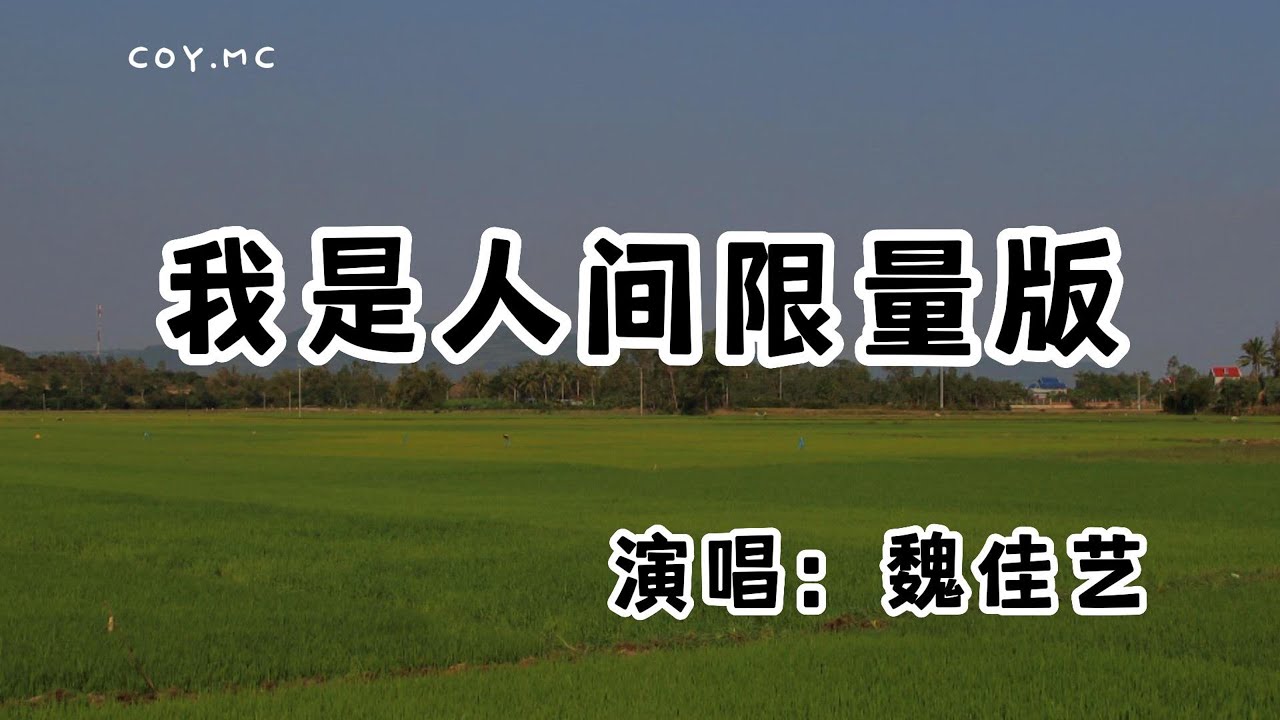 魏佳藝 - 我是人間限量版『就算我生得再普通平凡 好歹老子也是限量版』（動態歌詞/Lyrics Video/無損音質/4k）