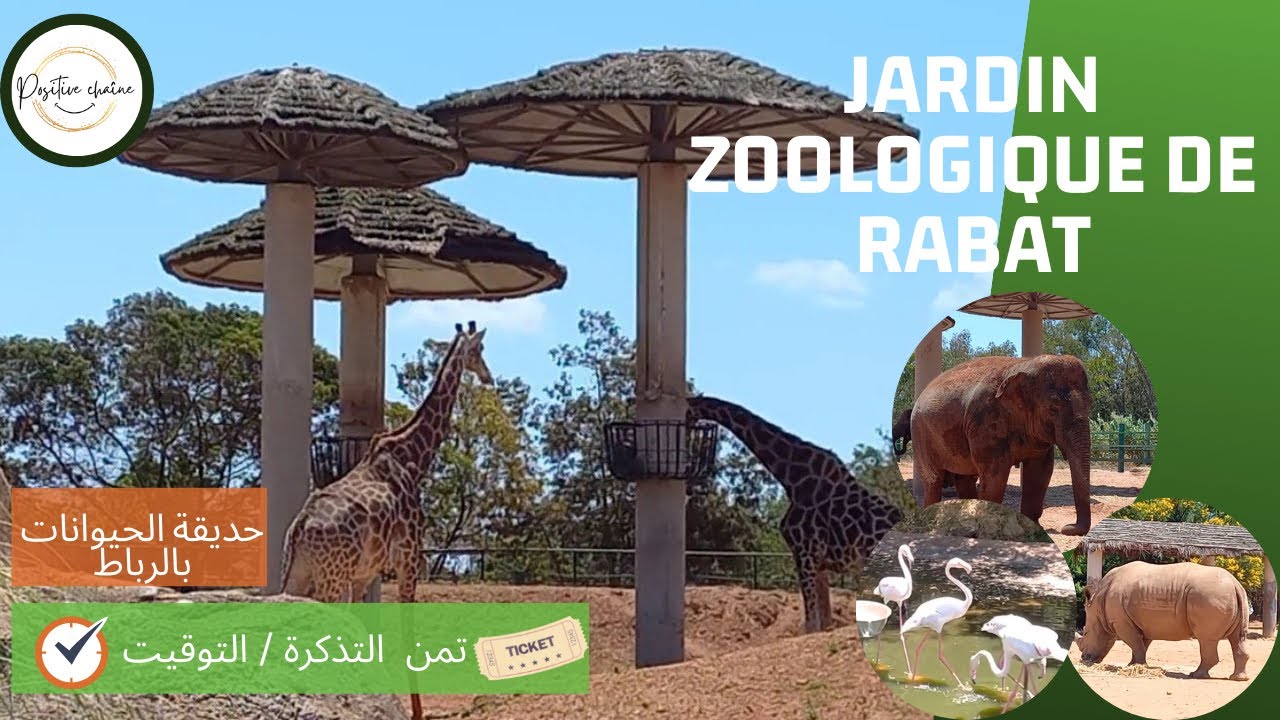 Jardin zoologique de rabat | حديقة الحيوانات بالرباط