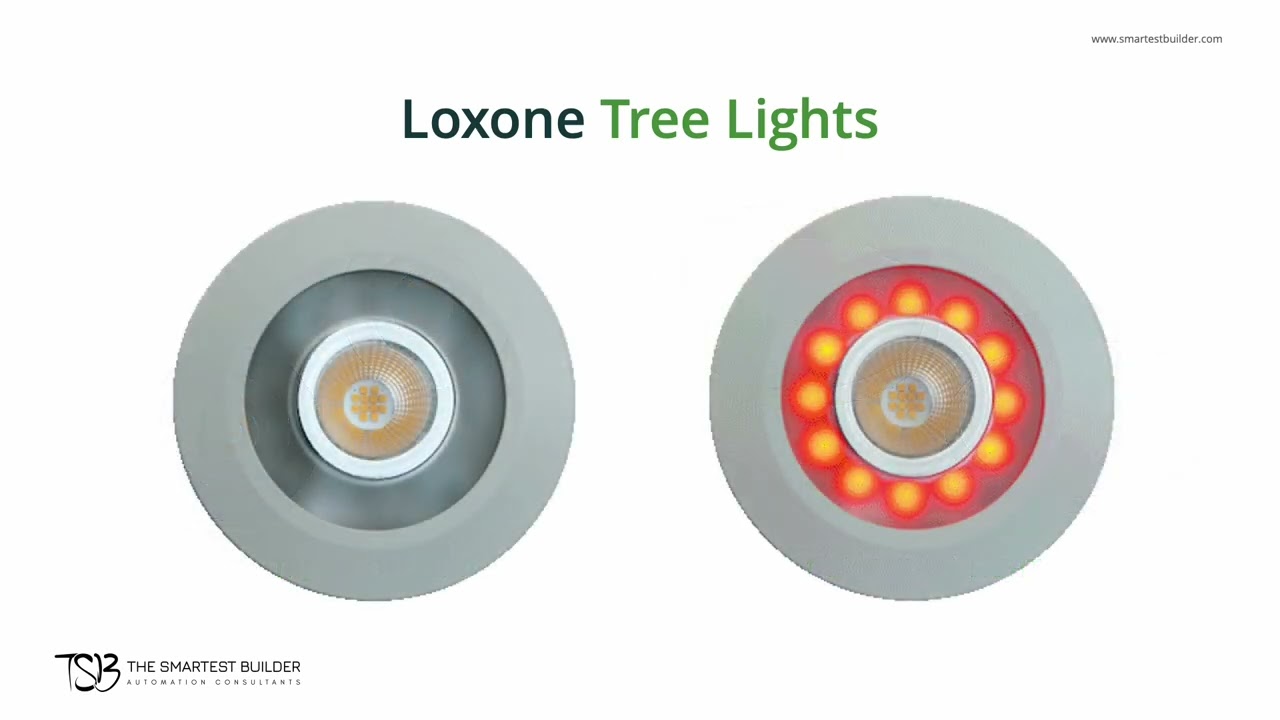 Loxone Introduction Series Video 6/8: Loxone Tree