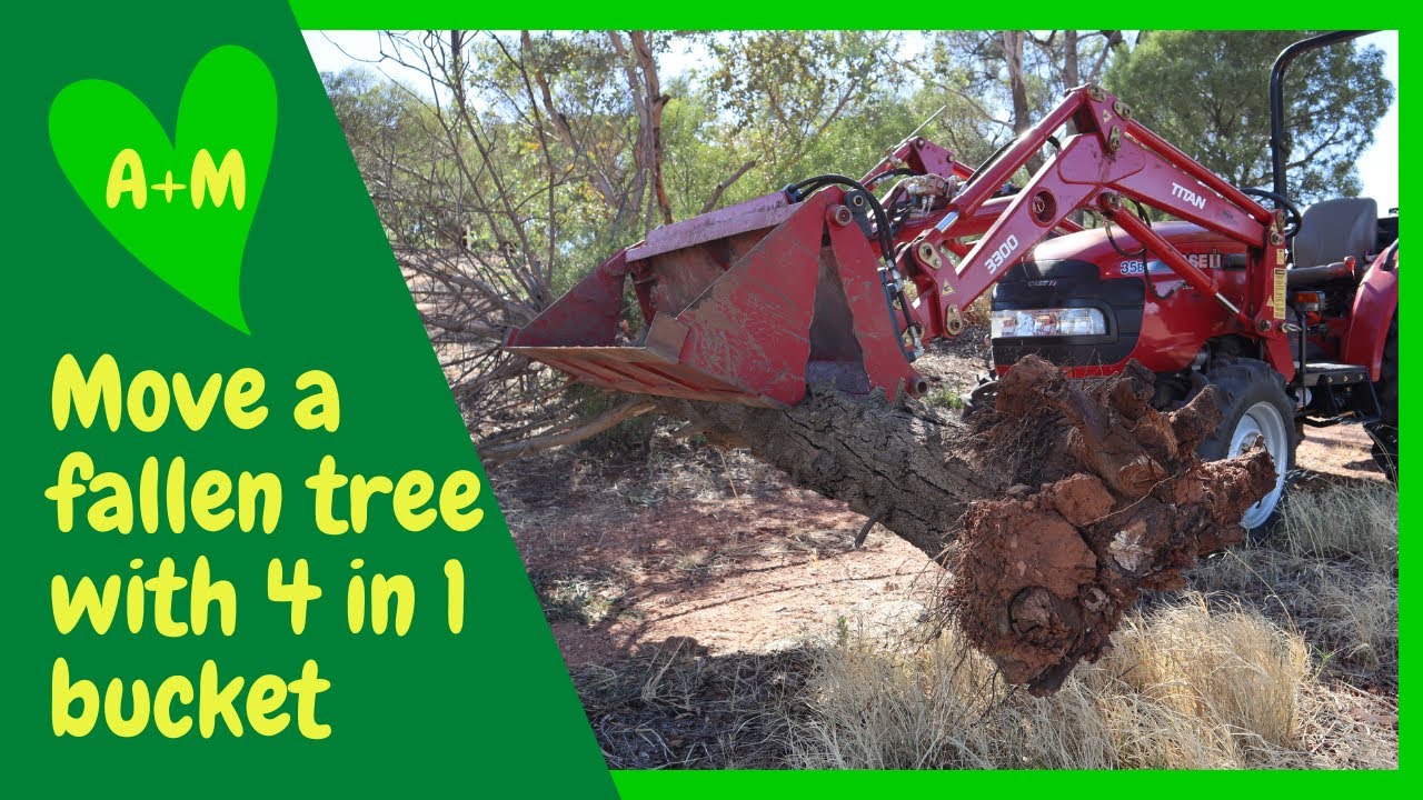 Move a fallen tree with frontend loader and 4 in 1 bucket on a tractor