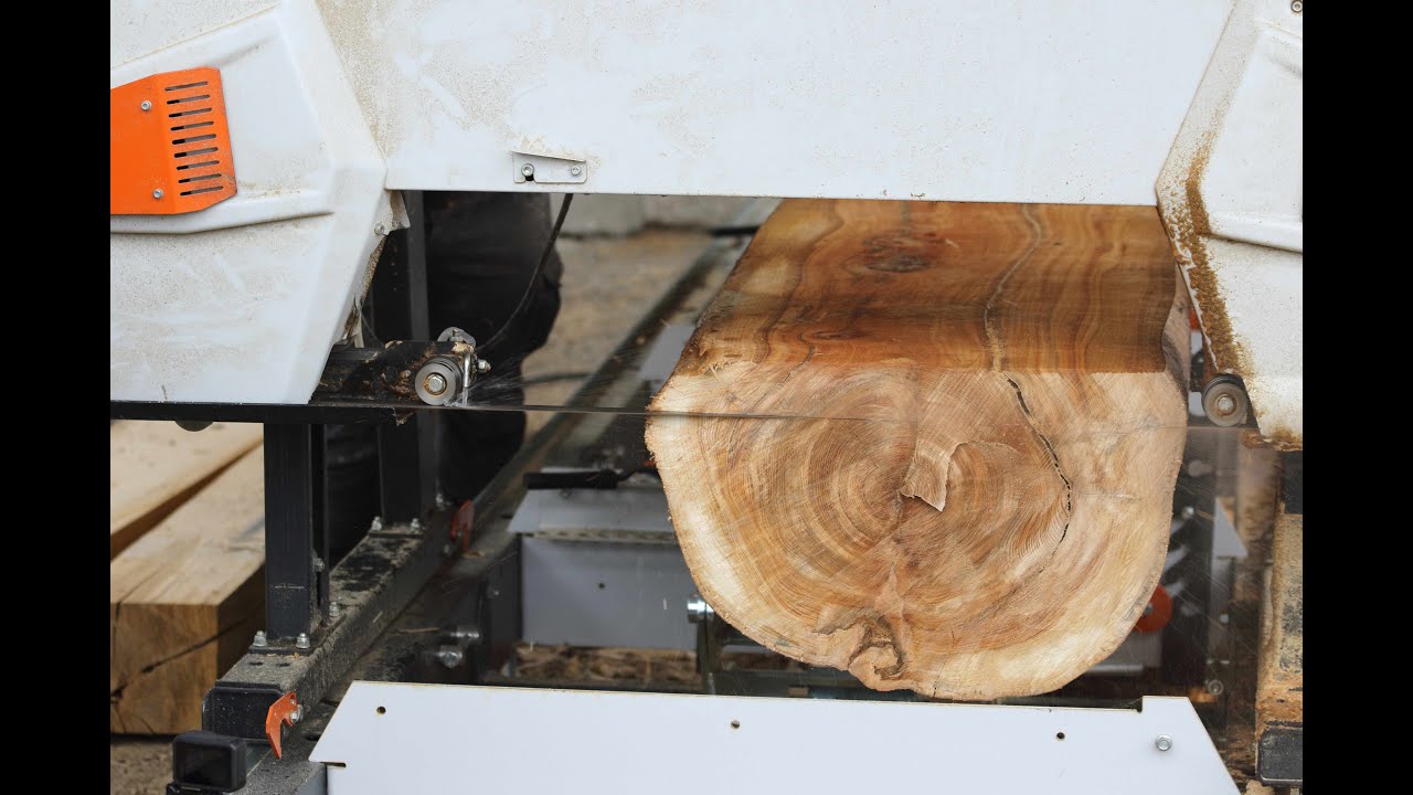 Logosol B1001 Band sawmill cutting old elm
