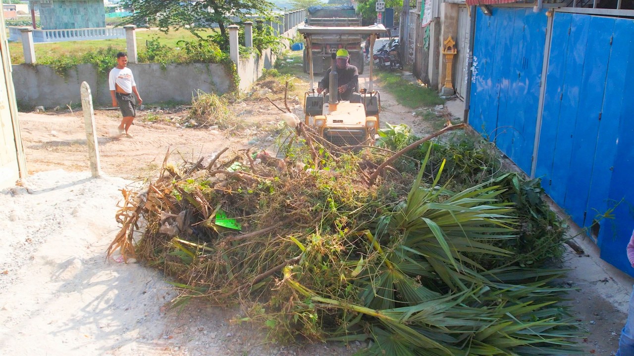BULLDOZER FIGHT the tree and DUMP TRUCK UNLOAD the stone for filling the land full project