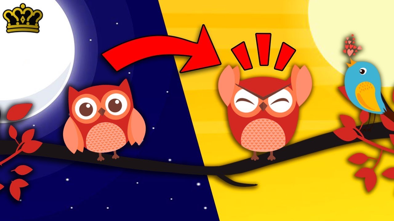What Happens When A Night Owl Is Forced To Live Like An Early Bird?