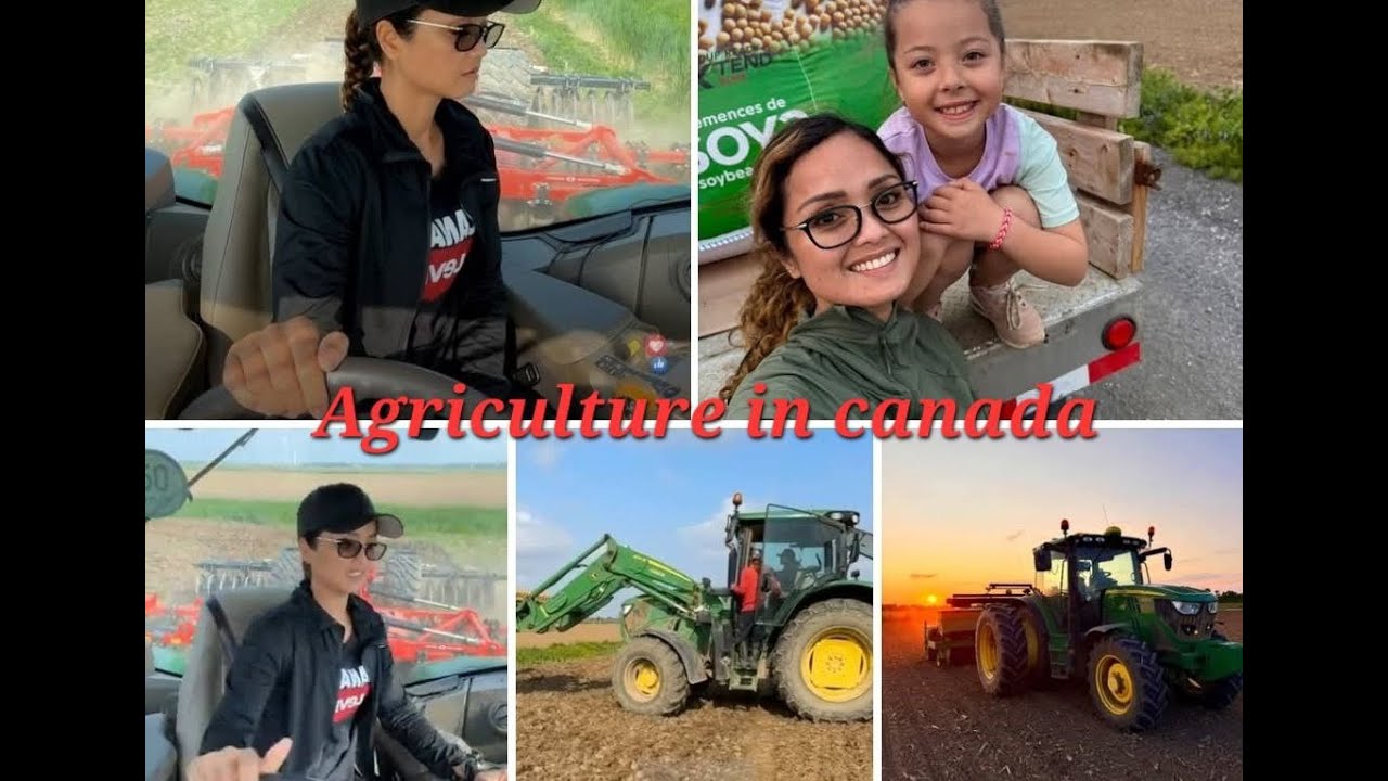 Preparing the tractor for plowing the farm land, Agriculture in Canada
