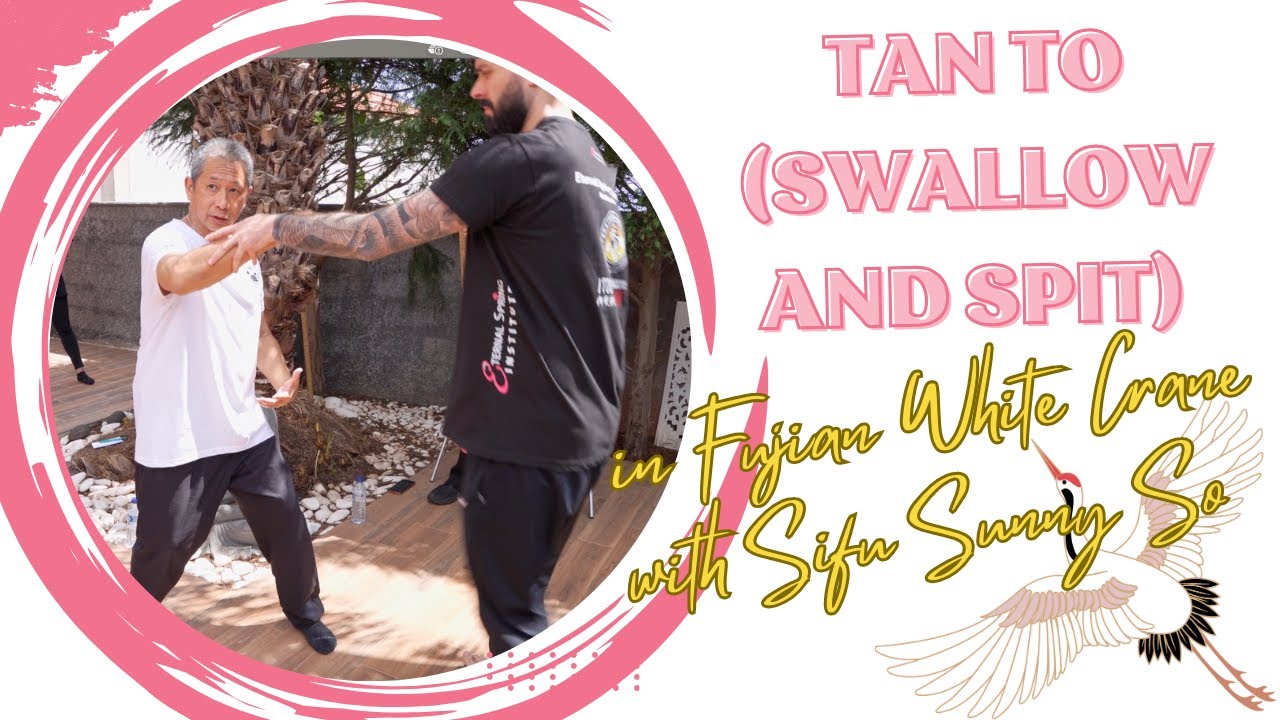 Tan To (Swallow and Spit) in Fujian White Crane with Sifu Sunny So