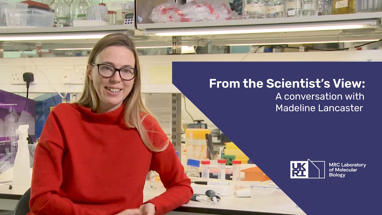 From the scientist's view: a conversation with Madeline Lancaster