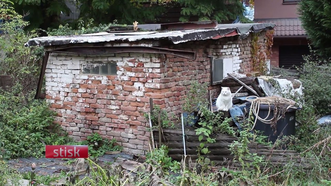 Kolonie Písečník stojí v Brně už skoro století, dočkala se vlastní výstavy