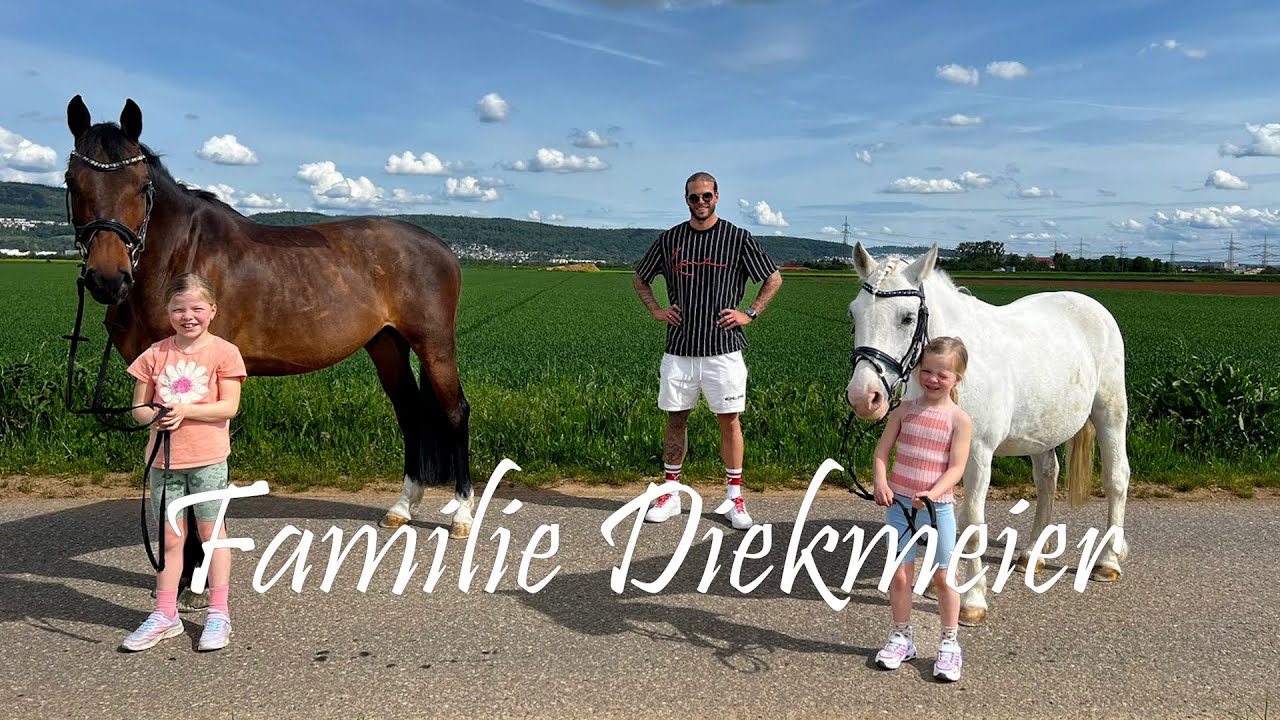 Unsere 2 neuen Familienmitglieder