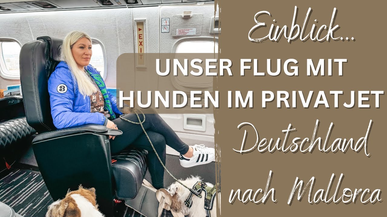 Flug mit Privatjet mit 3 Hunden von Deutschland nach Mallorca / Travelcoup