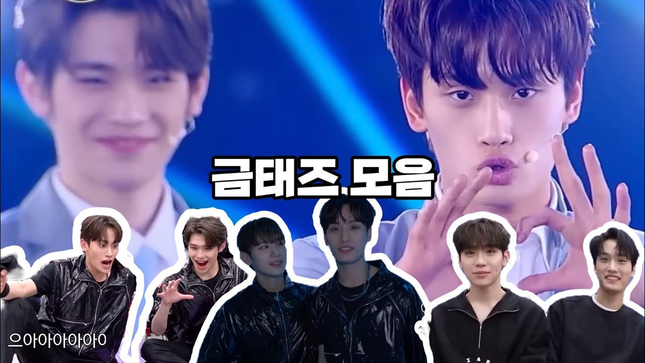 [금태즈] 뽀짝뽀짝 금준현 김태래 모음