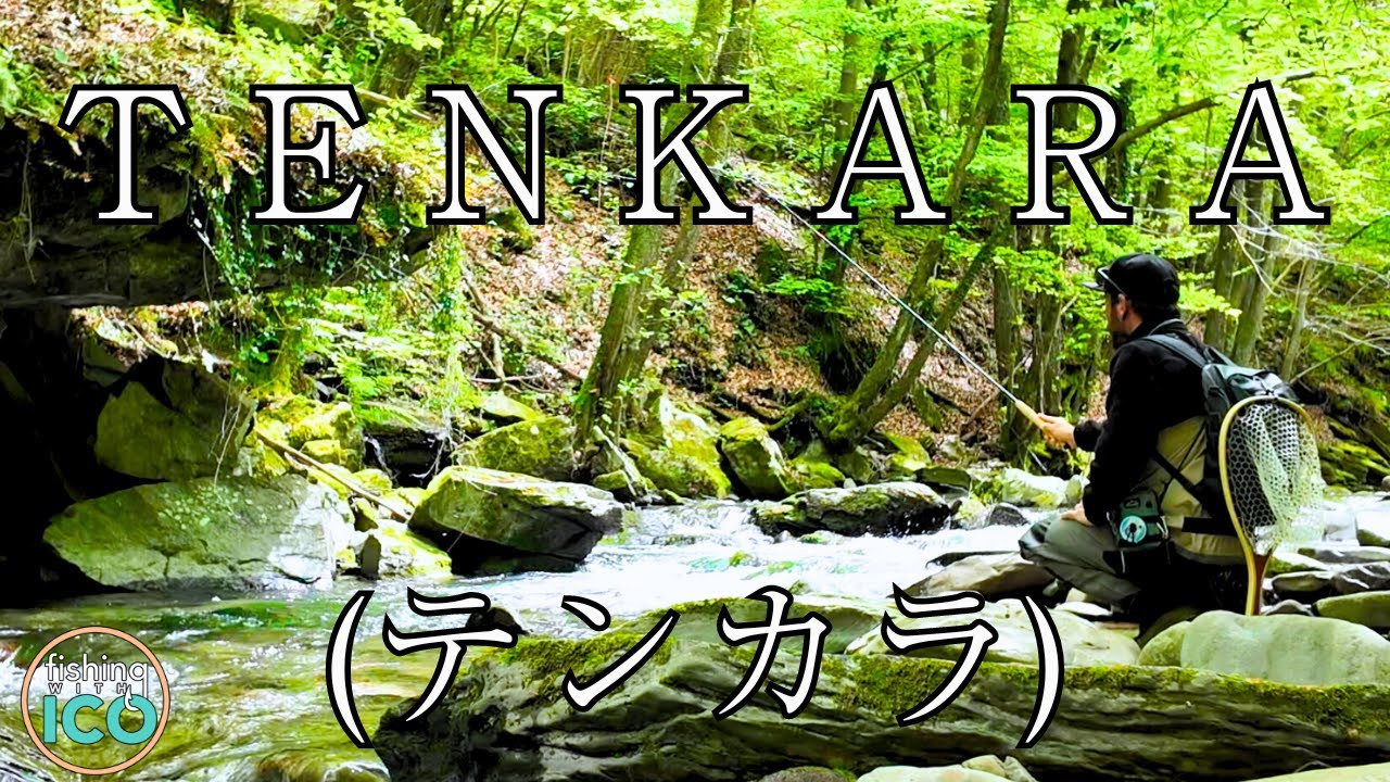 La PESCA a TENKARA (テンカラ): una CONNESSIONE PROFONDA con il TORRENTE e la NATURA! (4K)