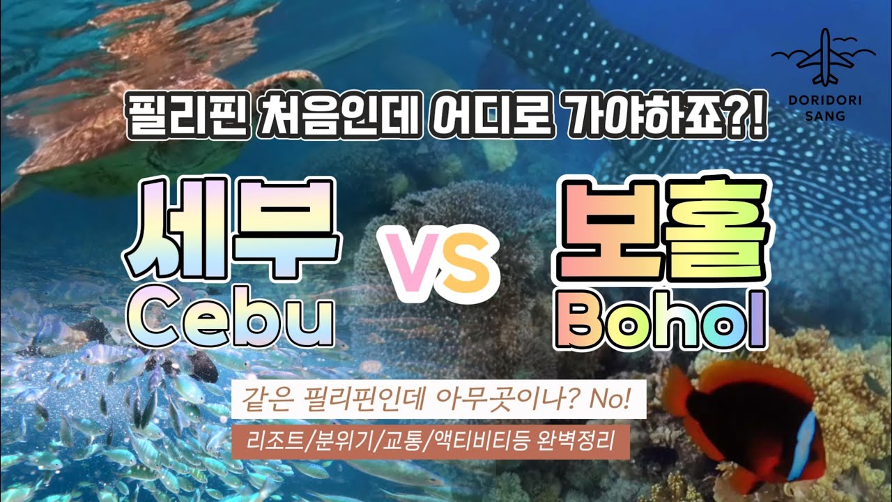 필리핀 세부와 보홀중 어디를 가야 할지 모르겠다면? [리조트/분위기/액티비티/교통/식당등 총 정리] (필리핀 안가보신분은 꼭 보세요.)