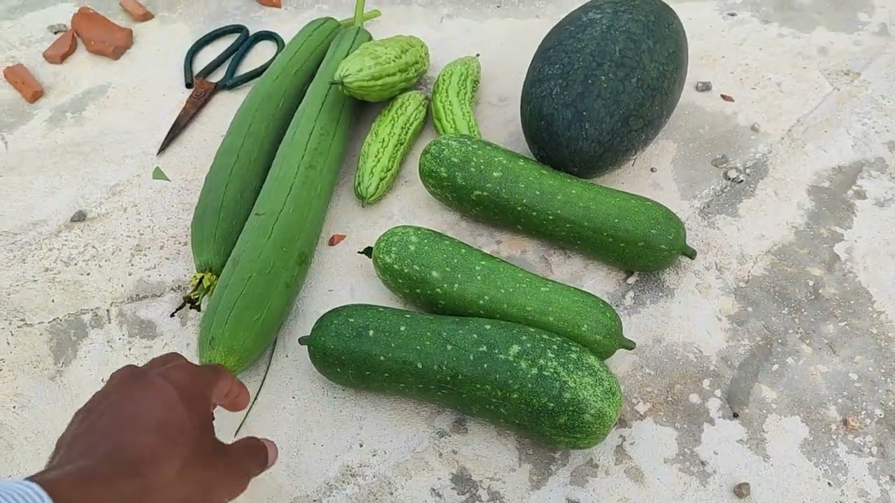 តោះលោកពុកម៉ែបងប្អូនហូបបន្លែធម្មជាតិដើម្បីសុខភាពល្អ