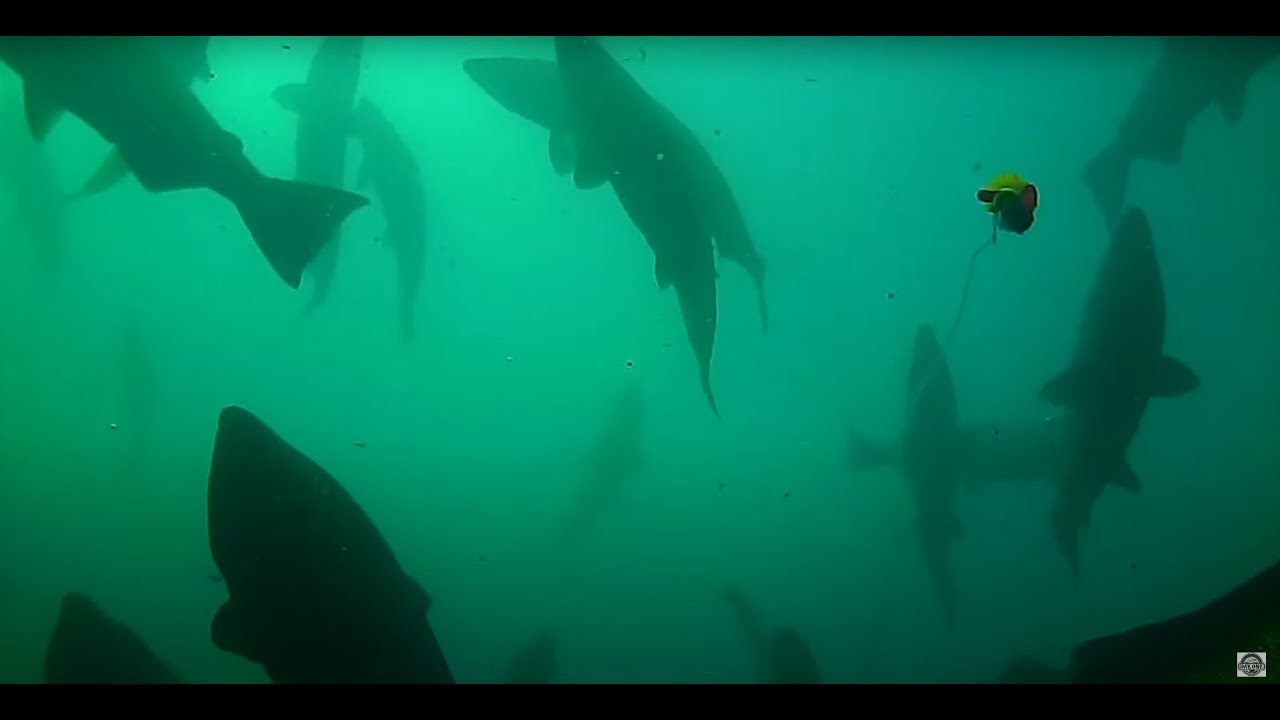 PATAGONIA Salmon Fishing! | Search for GIANT Kings! | (Part 3 of 3)