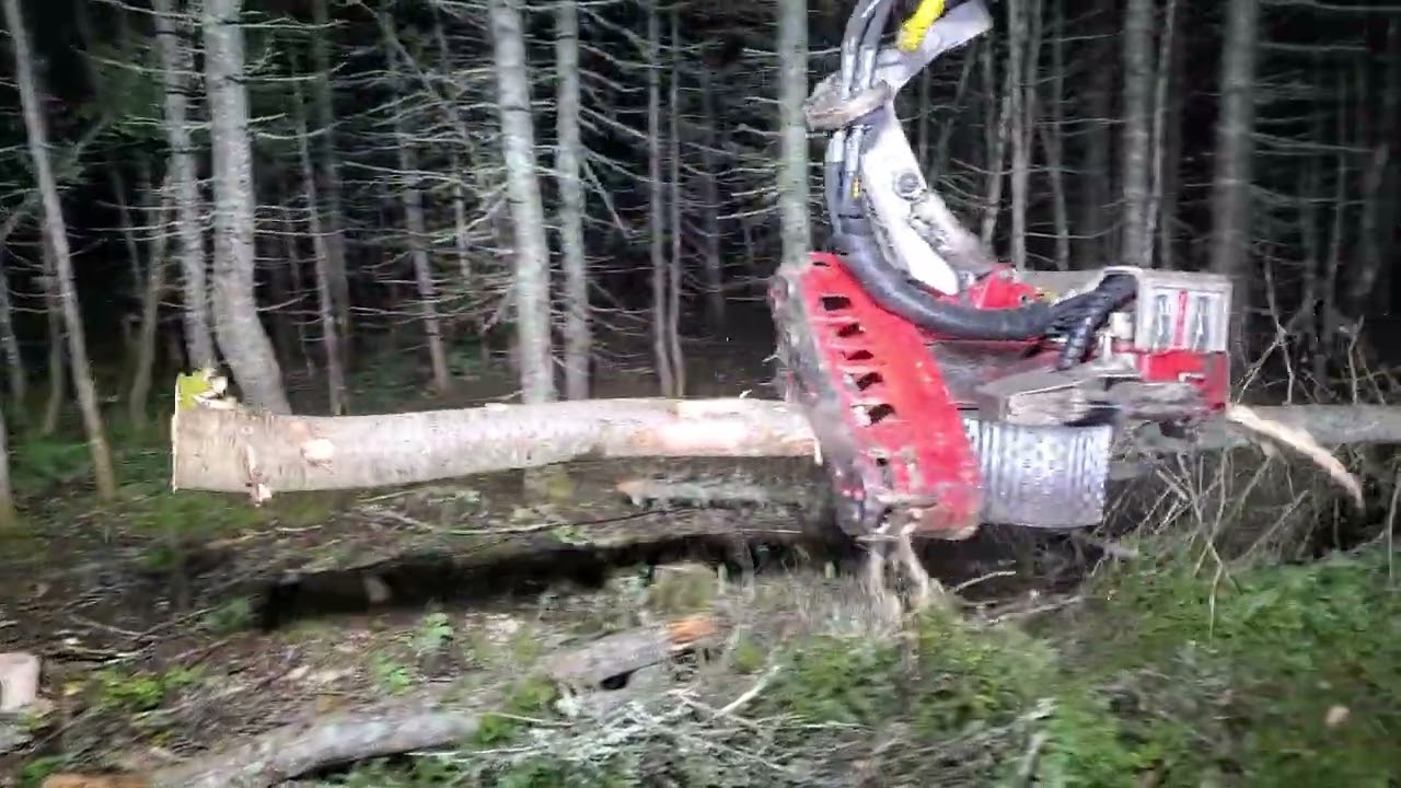 tigercat 822 avec tête logmax 6000v