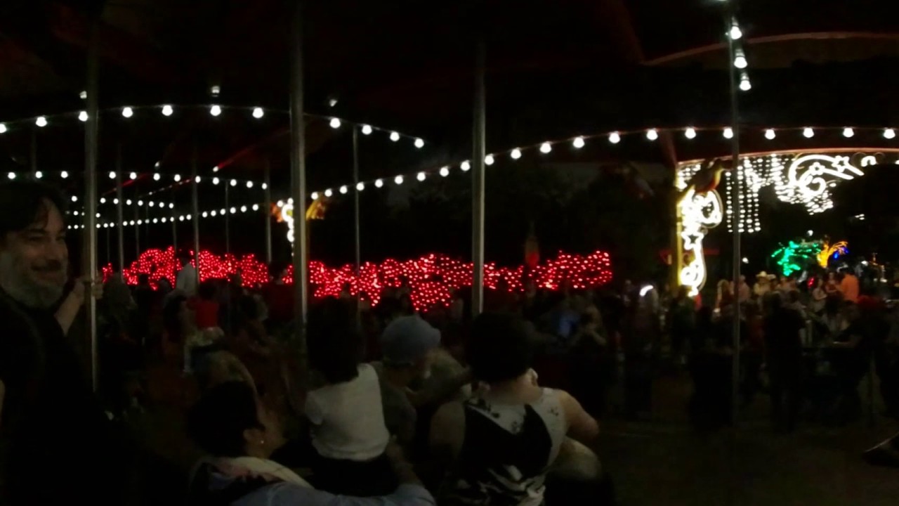 Connor's Carousel Ride Zoo Lights