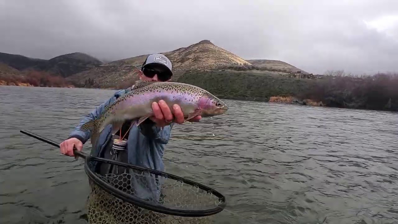Wiggly Worm Fly // Dirty Water Nymph Solutions