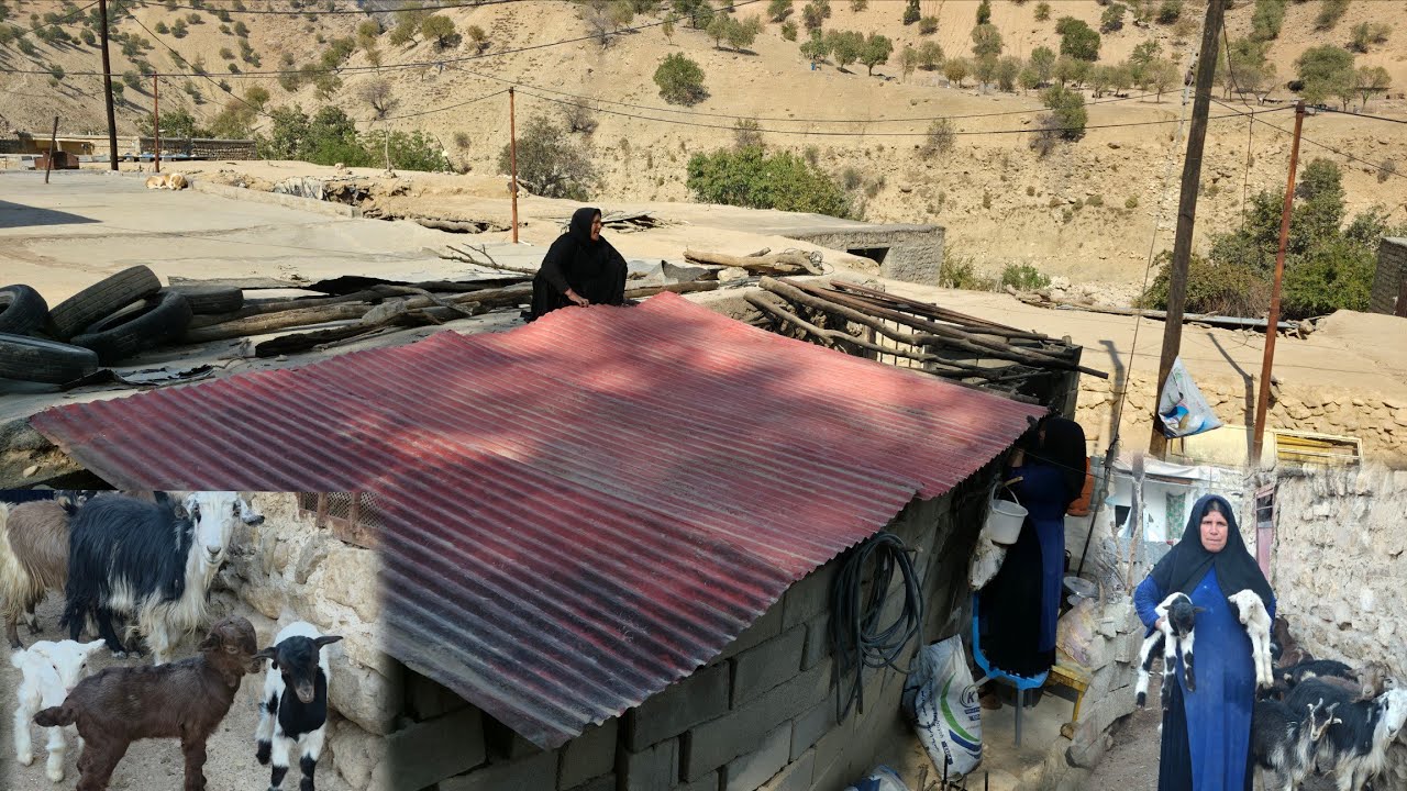Covering the roof of a barn with metal sheets 🛠️ | A pure day in nomadic life 🐐⛰️