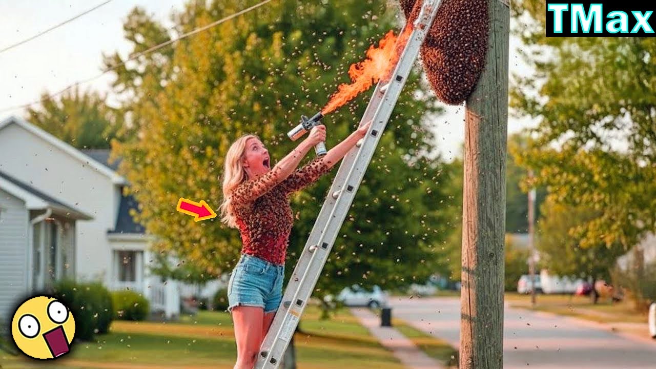 TOTAL IDIOTS AT WORK | Instant Regret Fails Compilation 2025 #194 | TRY NOT TO LAUGH CHALLENGE 😂