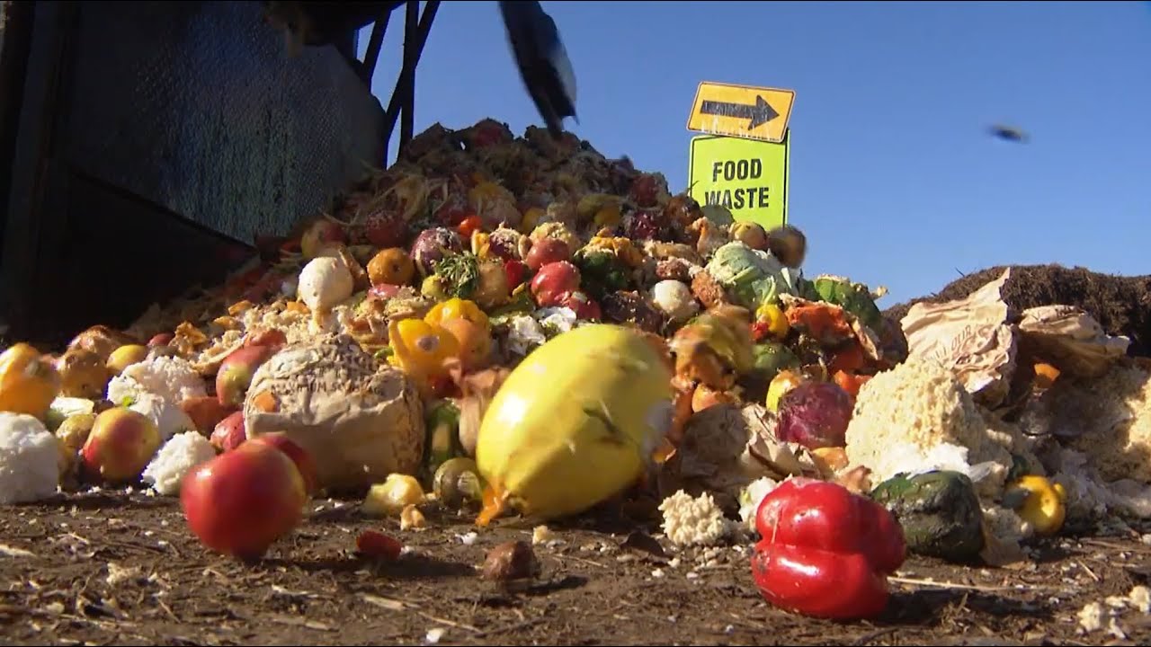 Breaking down the new food recycling law in San Diego
