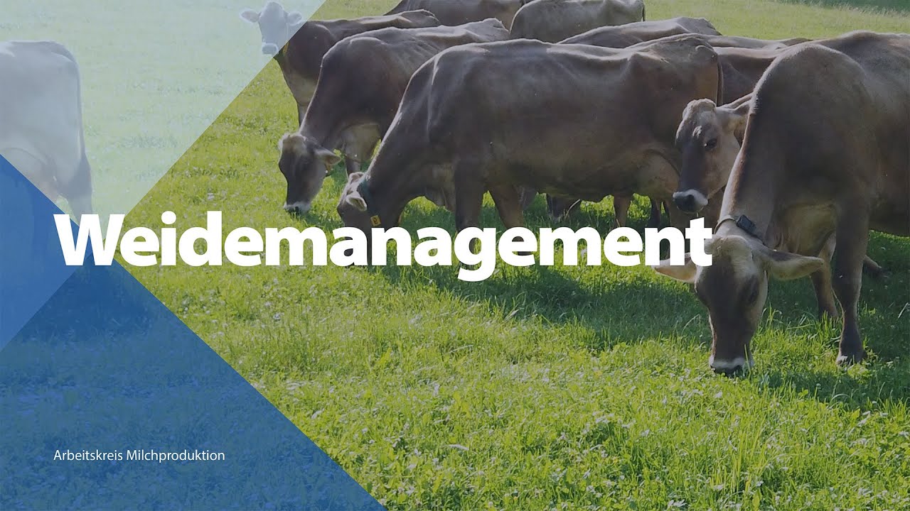 Weidemanagement