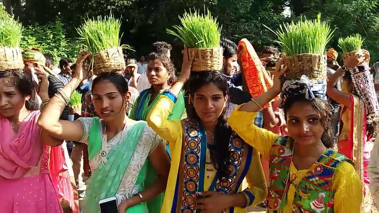 Banjara Teej Festival Super Celebrations at Nizam College ! Hyderabad !! 3TV BANJARAA LIVE
