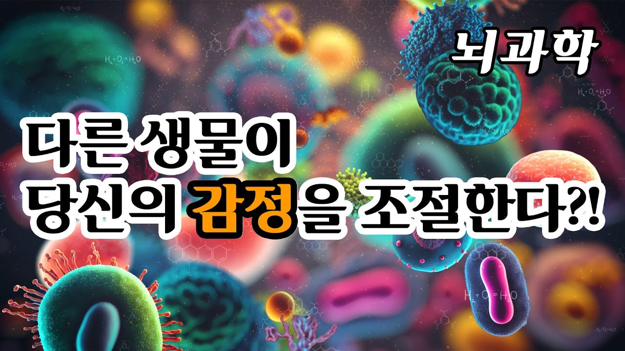 감정은 과연 내가 만드는 것일까? I 감정 조절하려면 이것부터 해라 I 뇌과학