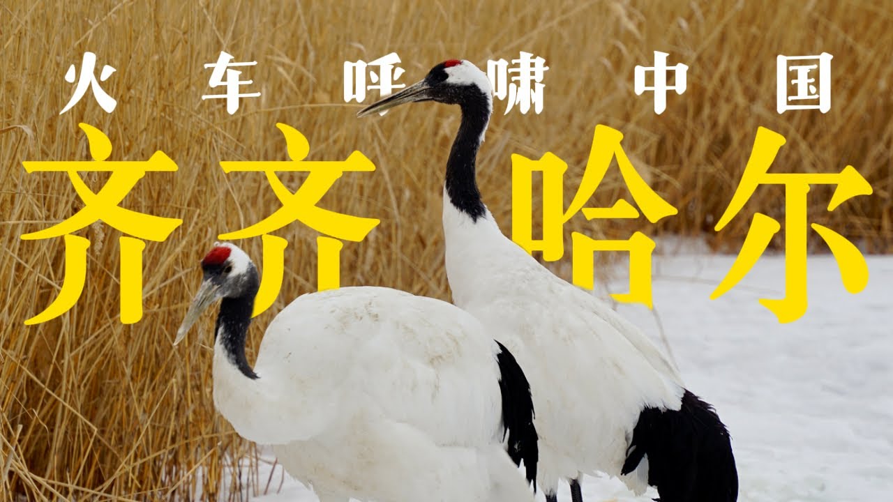 火车环游中国到达齐齐哈尔，在丹顶鹤的故乡吃炭火烤肉｜黑龙江｜小可追太阳｜Travel around China by train｜Qiqihar｜Hei Long Jiang