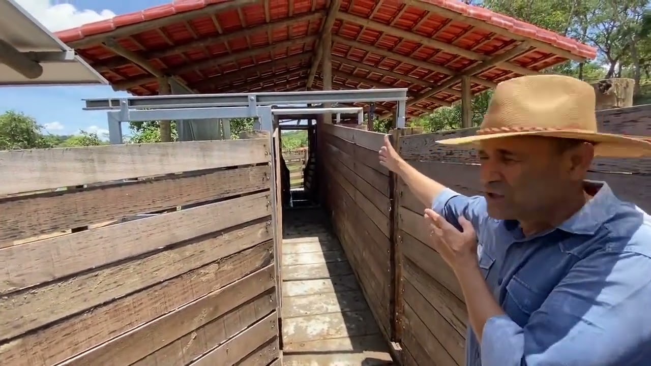 Uso do tronco de contenção/ brete