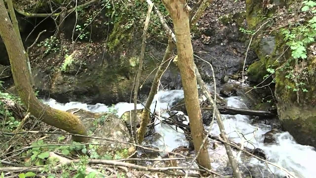 Prekrasni potok Mlini&scaron;te, Zabrđe, Vitez