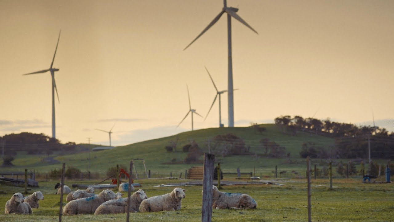 Wind turbines and farming – Lindsay Marriott
