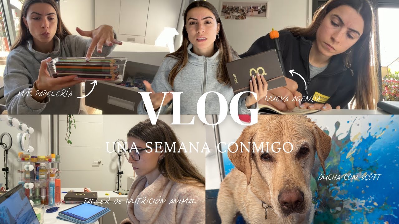 WEEKLY VLOG | Taller de nutrición, nueva agenda (organización), más papelería, GRWM y productividad