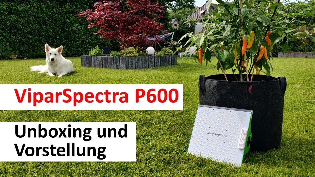 ViparSpectra P600 Pflanzlampe - Unboxing und erste Eindrücke