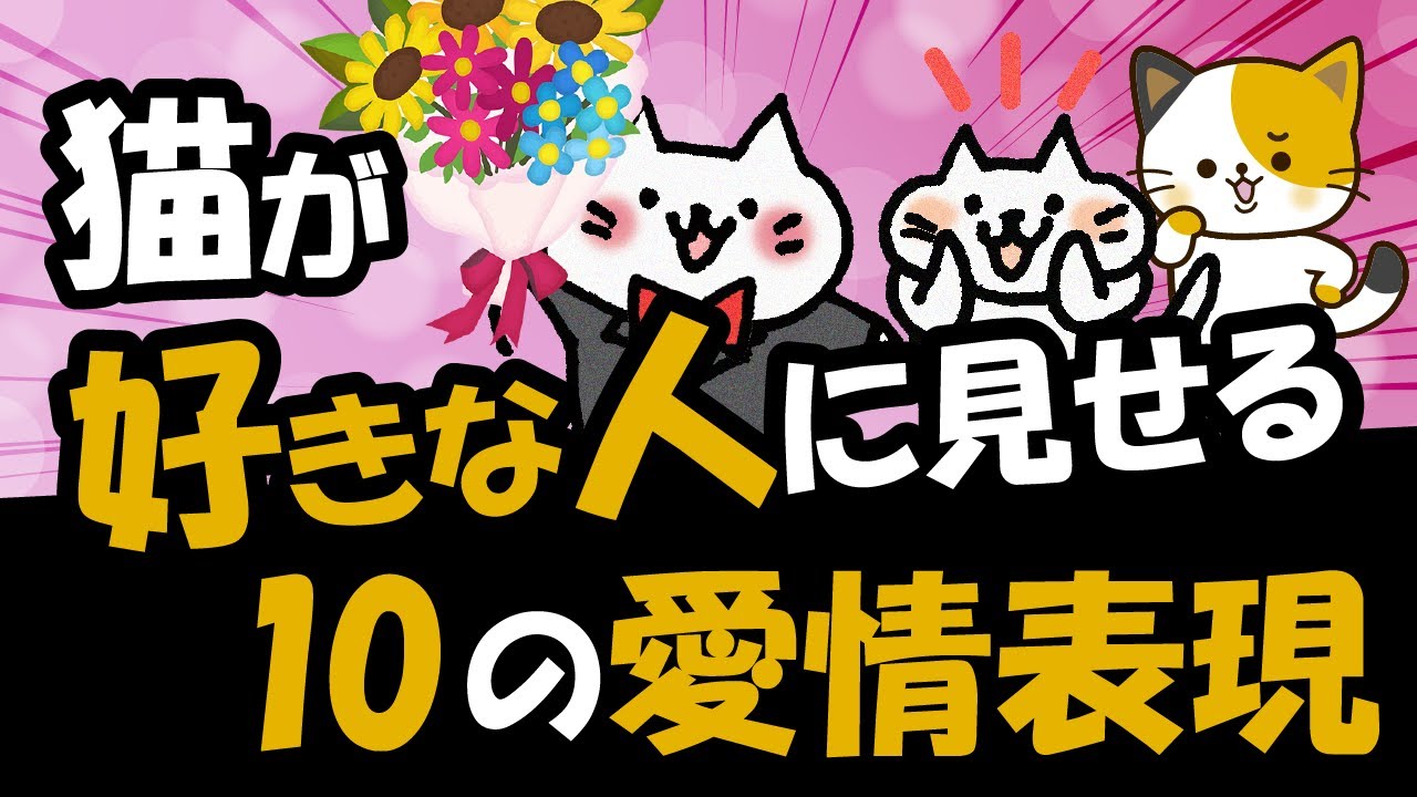 猫の愛情表現10選！愛猫が伝える飼い主への「大好き」サイン