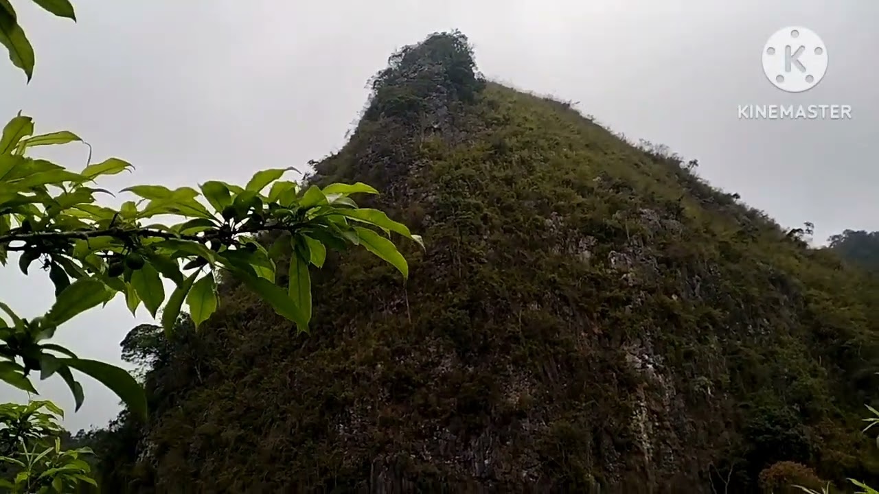14 tháng 2, 2026