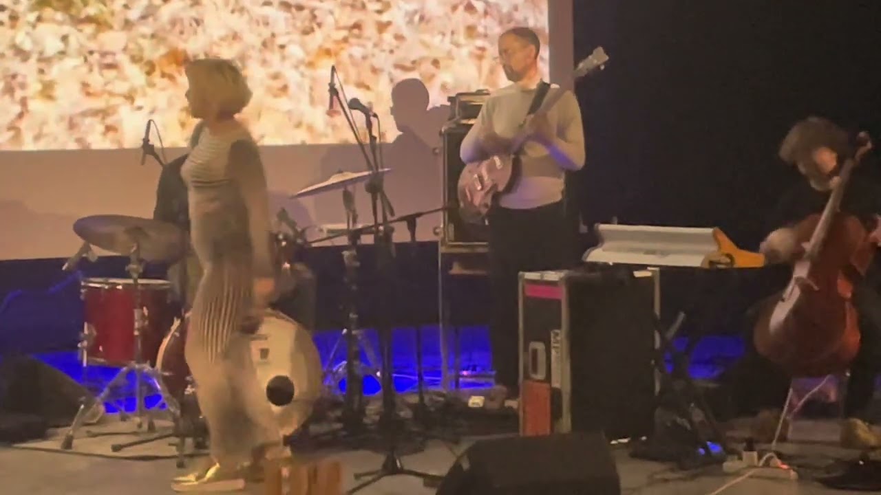 THE HELIOCENTRICS - Live 2