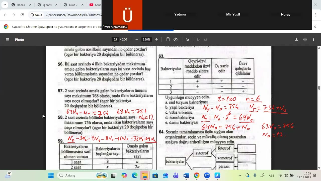 Bakteriya, göbələk və şibyələr   test izahı 2