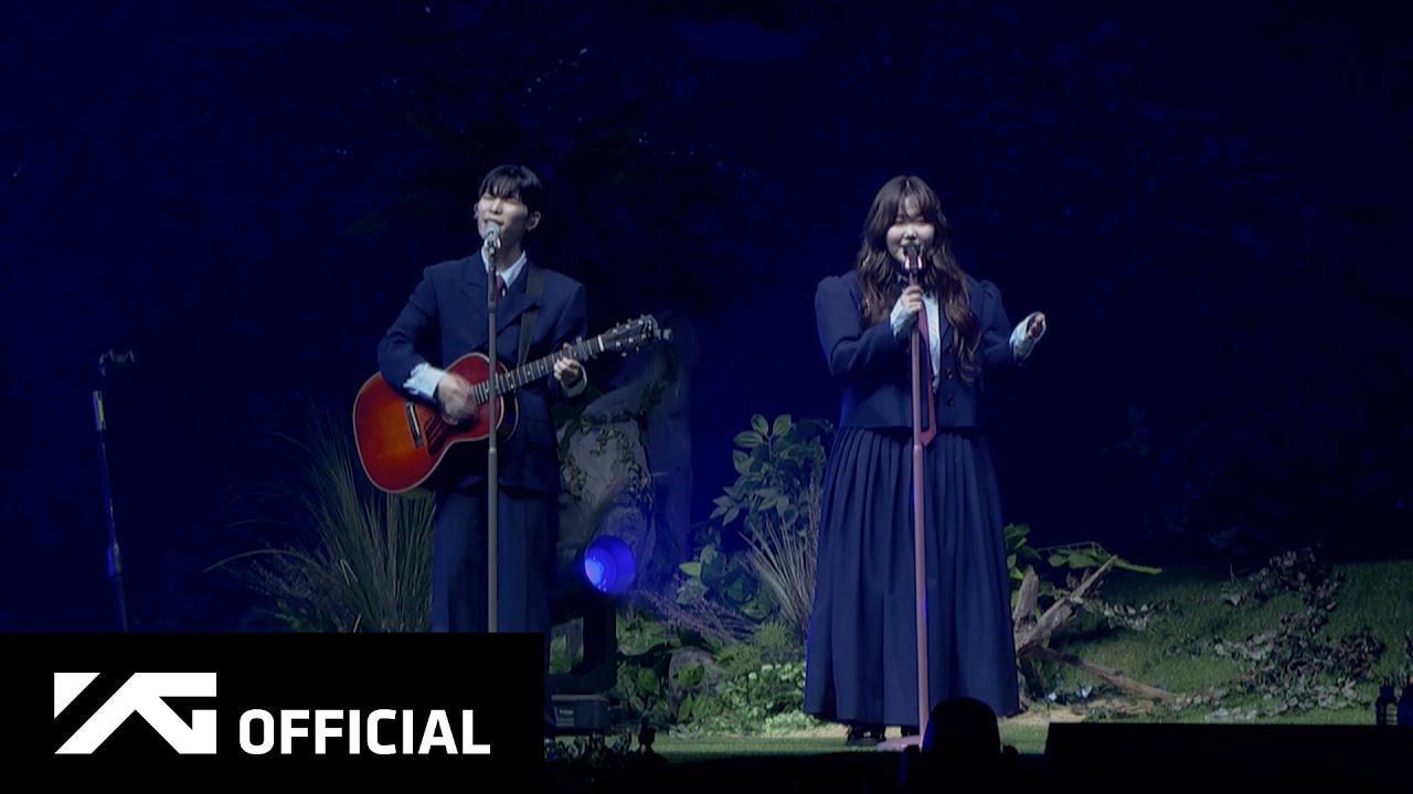 AKMU - ‘물 만난 물고기’ LIVE CLIP l 2024 AKMU 10주년 콘서트 [10VE]
