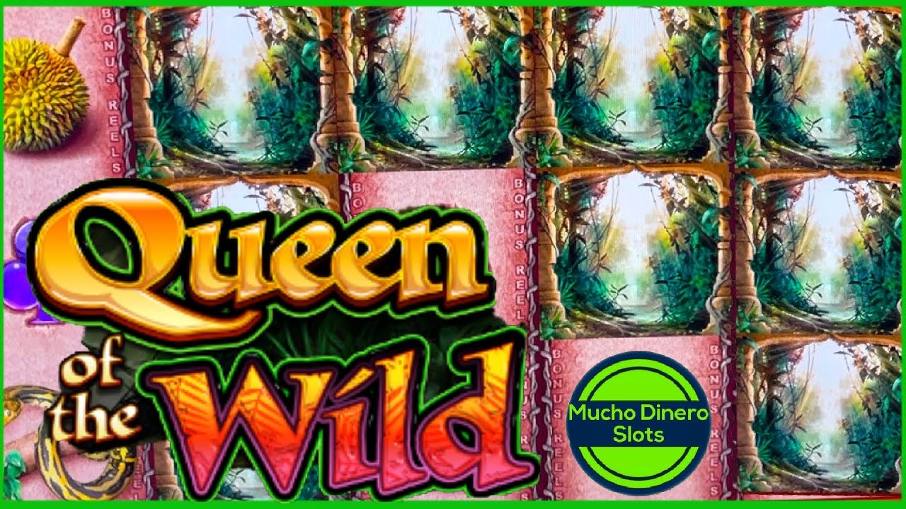 MY BIGGEST WIN QUEEN OF THE WILD SLOT JACKPOT 🟢 HIGH LIMIT 🟢 $54 BETS FREE GAMES