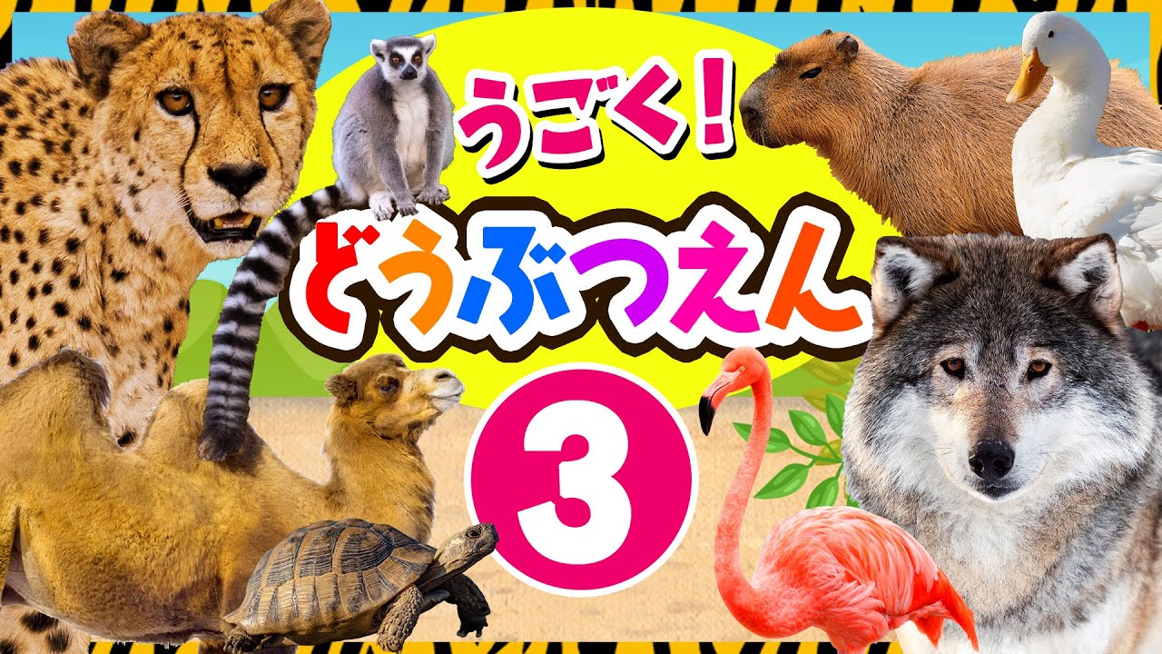 【動く♪動物園の生き物たち★③】サファリカーに乗って動物園に行こう！