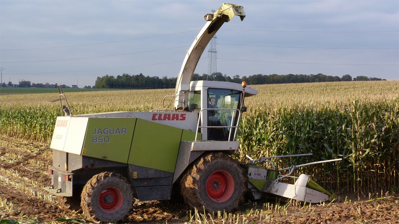 Claas Jaguar 850 at maize silage 2012