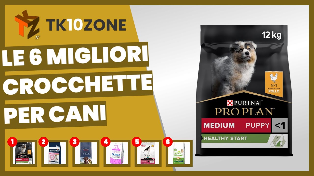 Le 6 migliori crocchette per cani